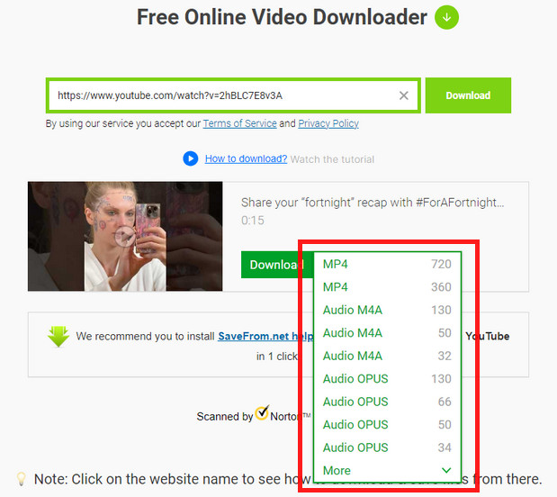 download-youtube video with savefromnet