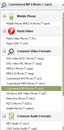 WebM to iMovie Converter Output Profile