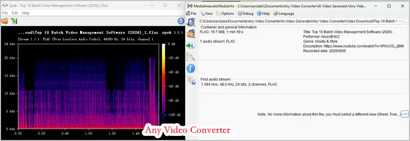 avc youtube to flac