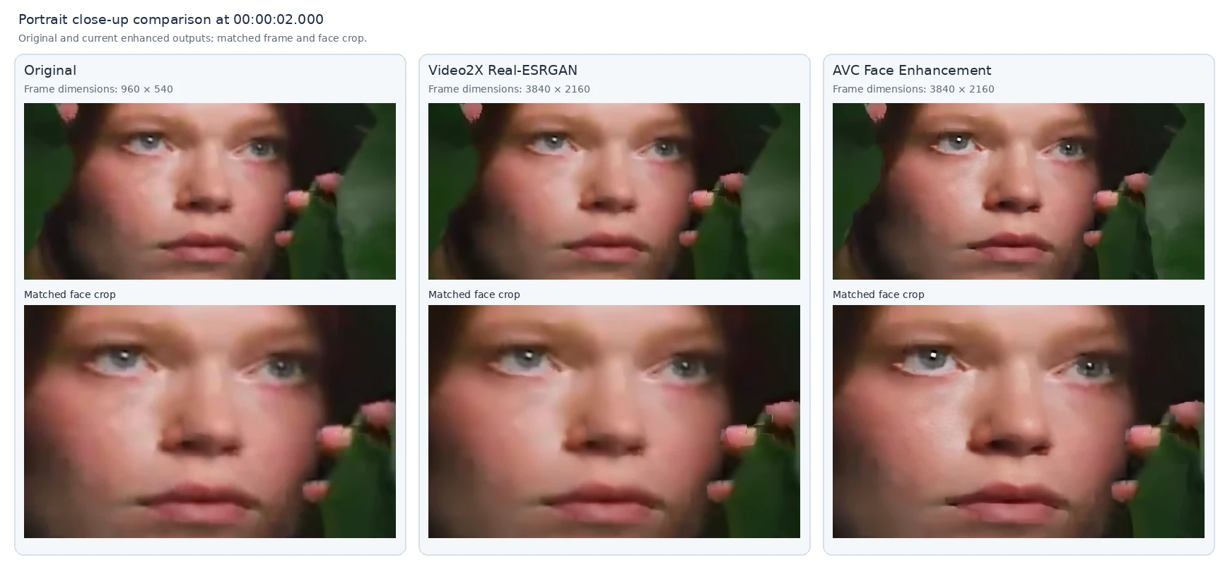 portrait close-up upscaling comparison between video2x and any video converter ultimate